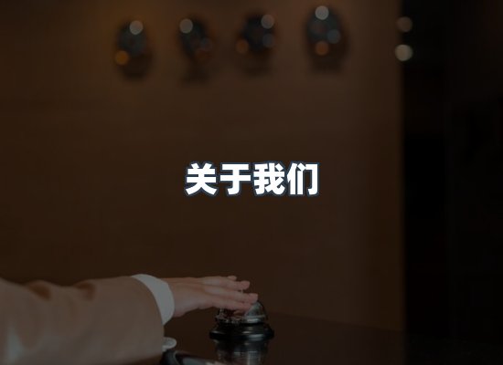 专业团队
